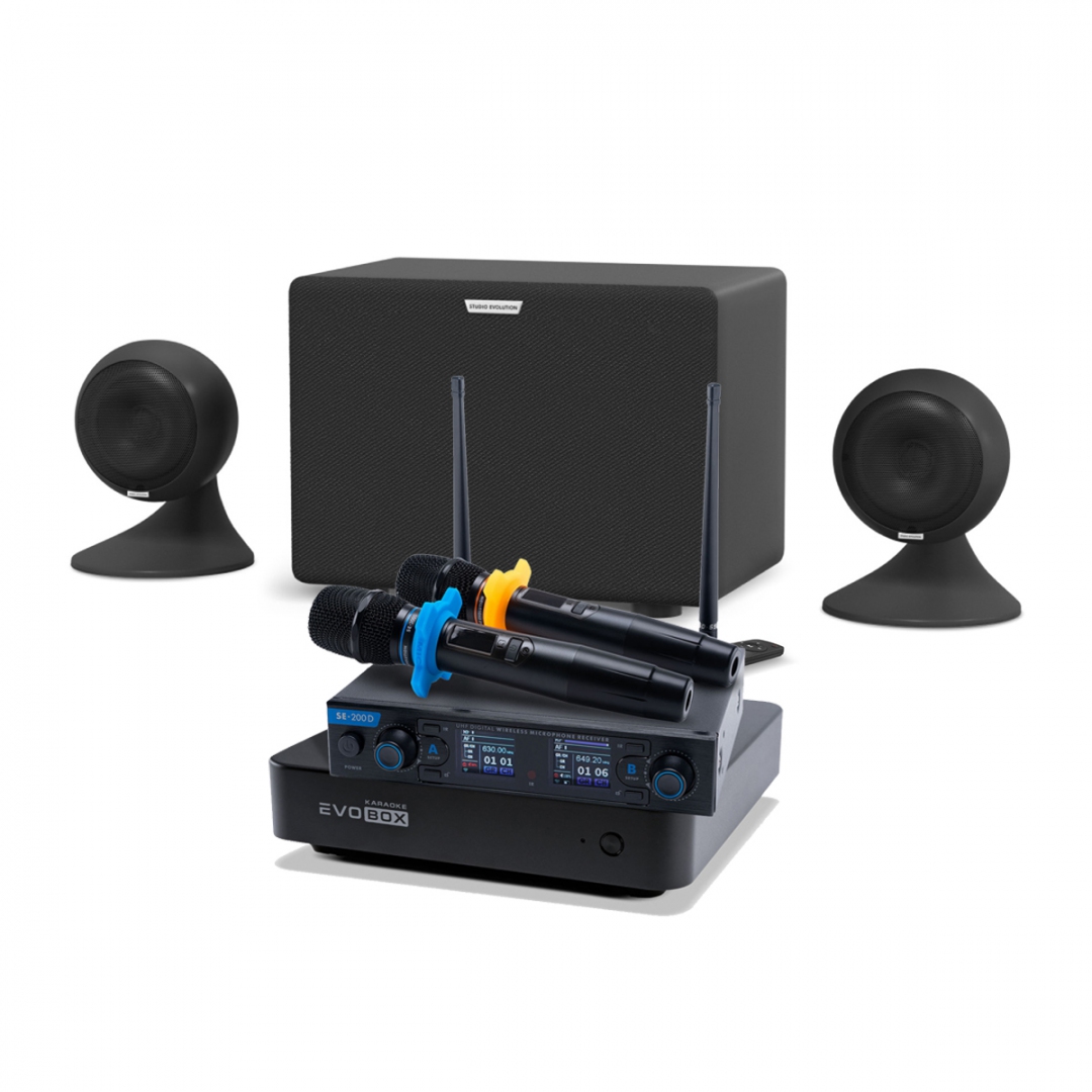 караоке-комплект EVOBOX + EvoSound Sphere 2.1 в Костромской области