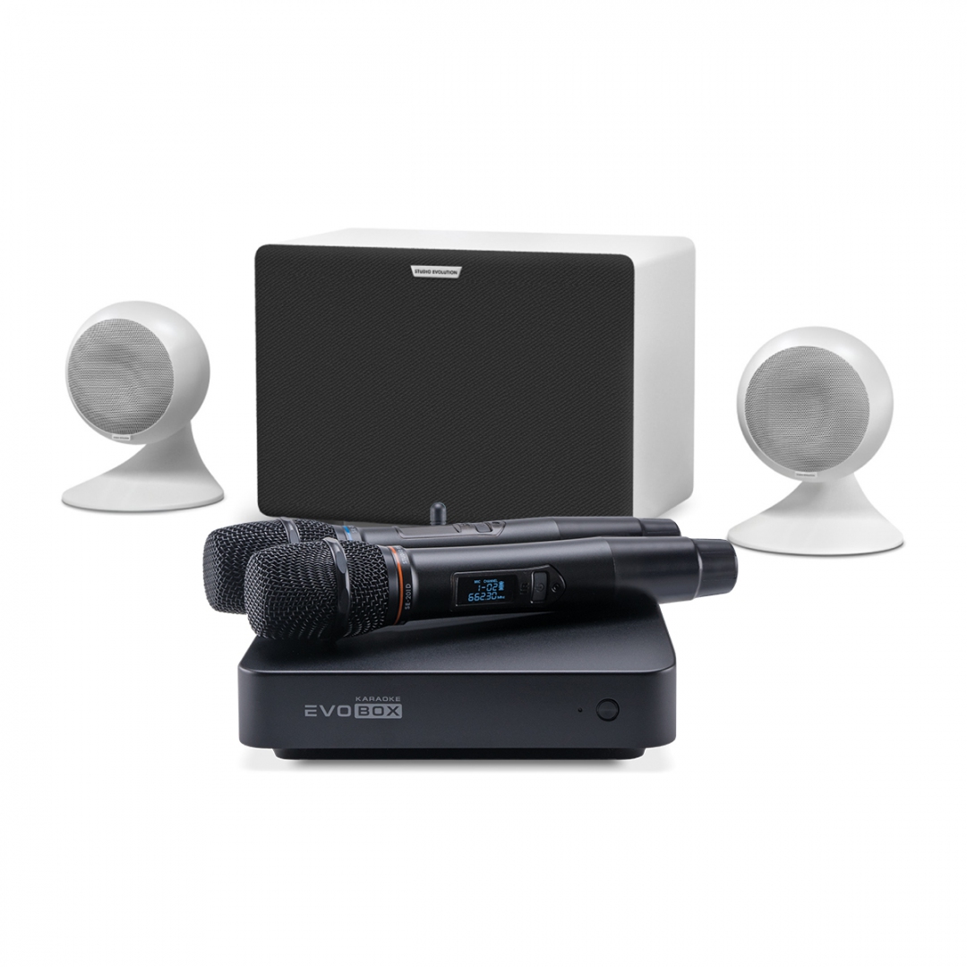 караоке-комплект EVOBOX Classic + EvoSound Sphere 2.1 в Костромской области