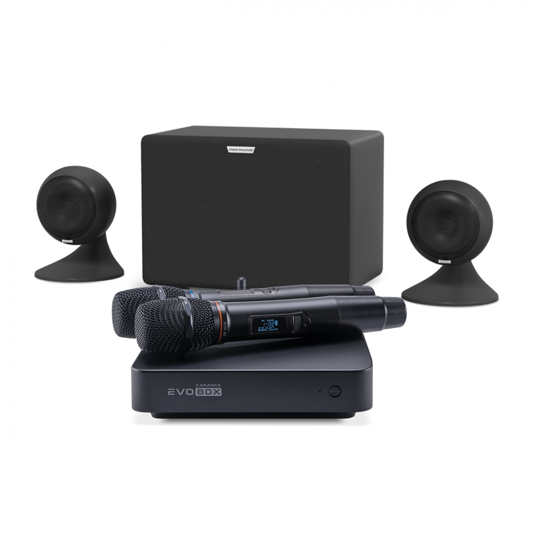 караоке-комплект EVOBOX Plus + EvoSound Sphere 2.1 в Костромской области