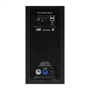 Активная акустическая система AST-310A в Костромской области